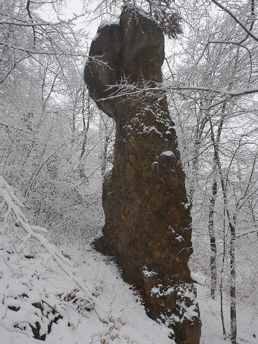 Foto P..a Calului din Danesti (c) Petru Goja